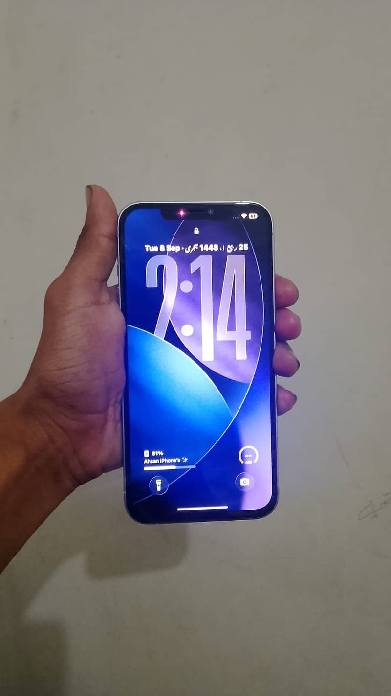 iPhone 12 Pro Max 0