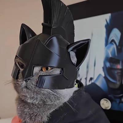 Odessy Cat Helmet