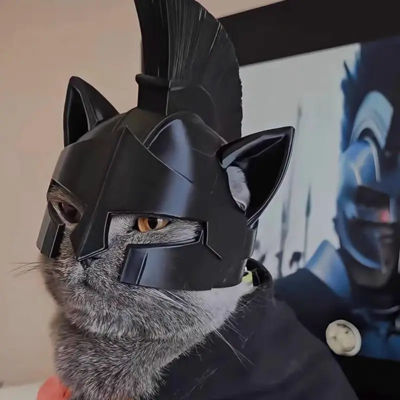 Odessy Cat Helmet