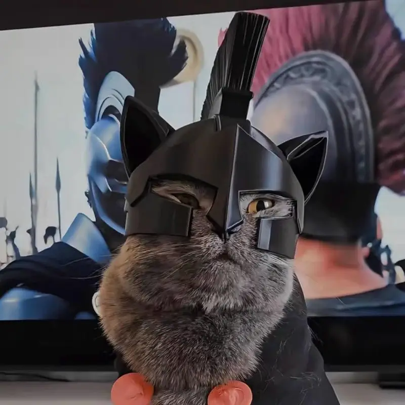Odessy Cat Helmet — photo 2