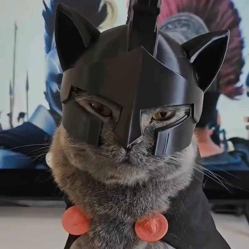 Odessy Cat Helmet — photo 10