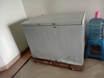 Dawalnce single door freezer