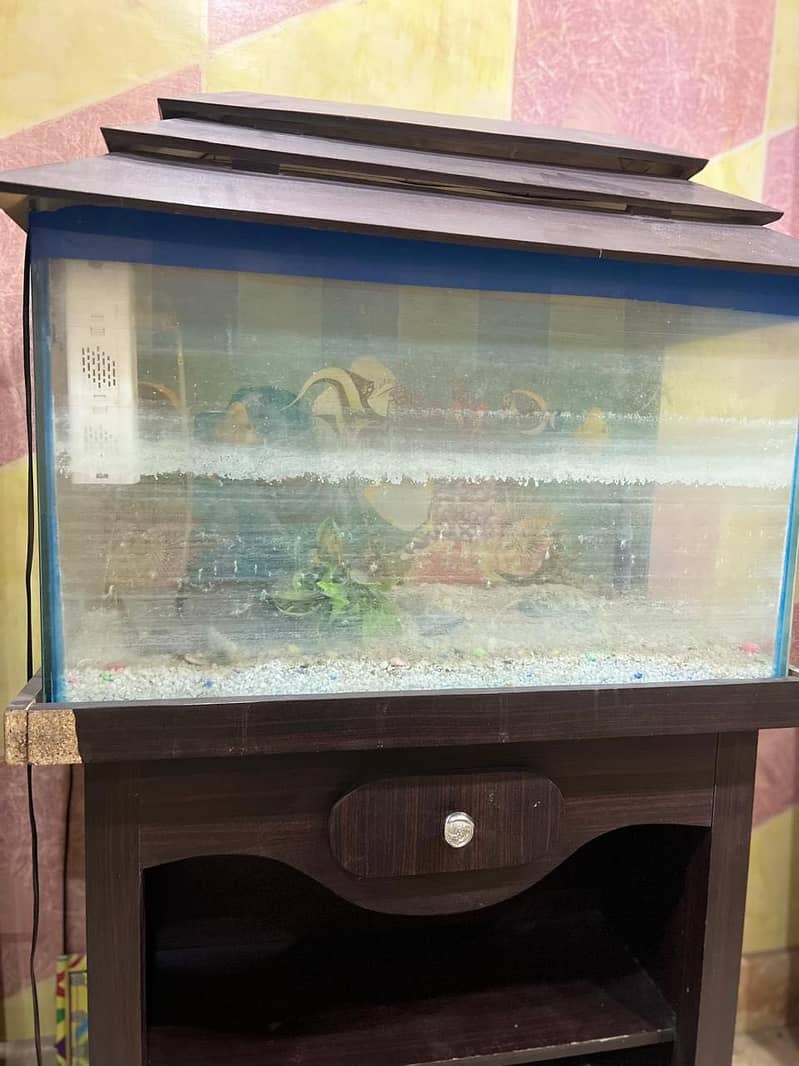 Aquarium 3