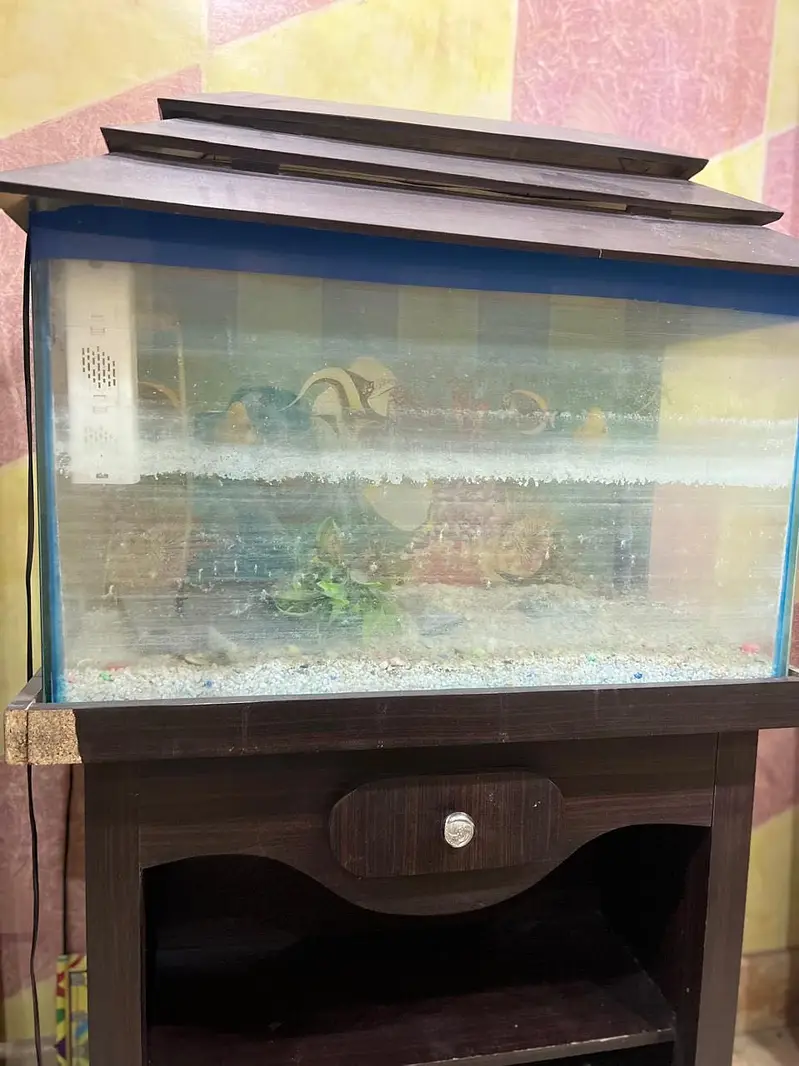 Aquarium — photo 4