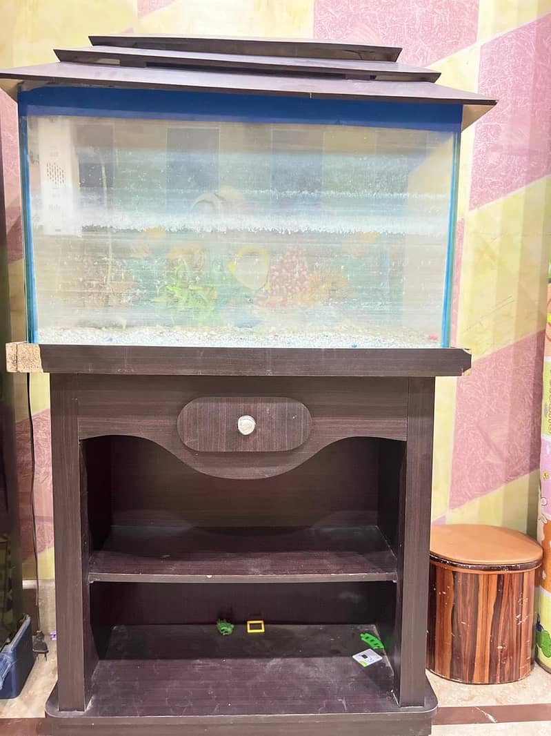Aquarium 5