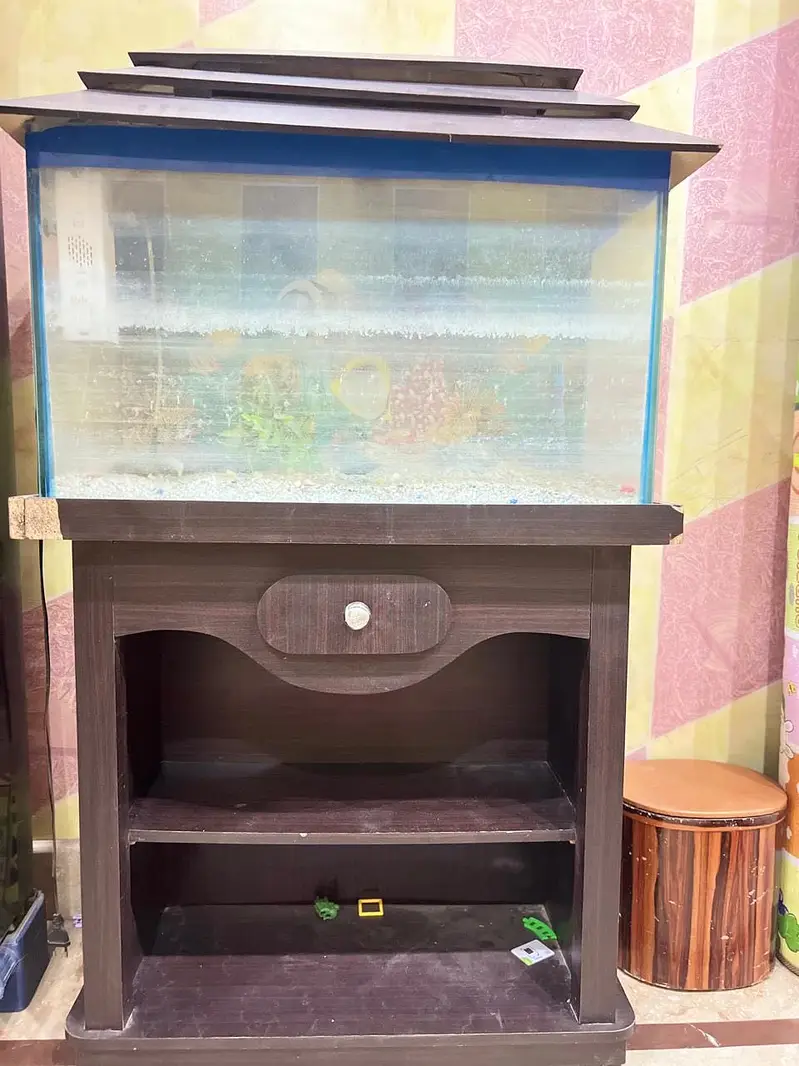 Aquarium — photo 6