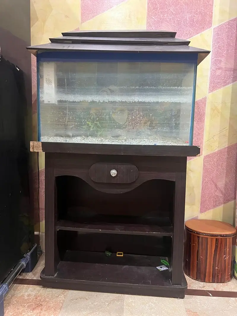 Aquarium — photo 8