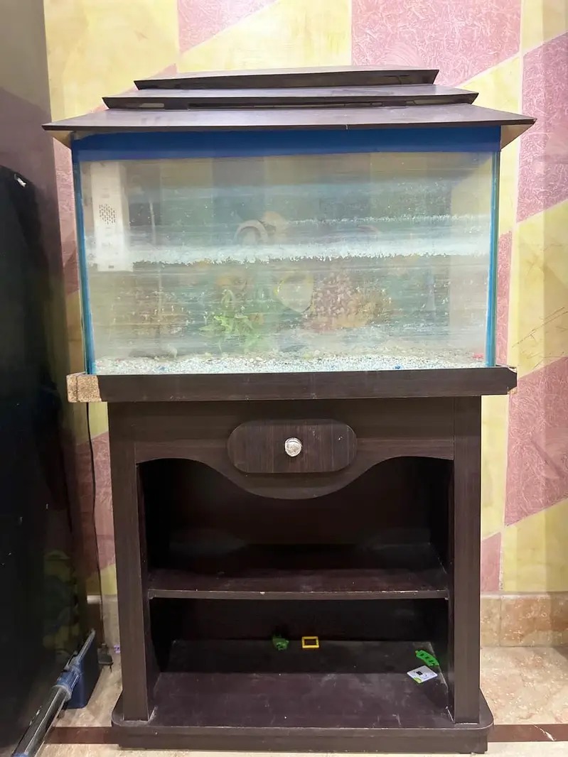 Aquarium — photo 10