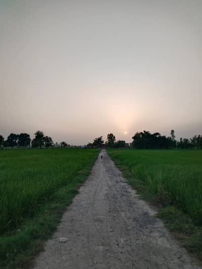 33 Acre Raqba Urgent For Sale In District Lahore. On Feroze Pur Road With Rashid Latif Hospital Gulwerah. Very Hot Location.