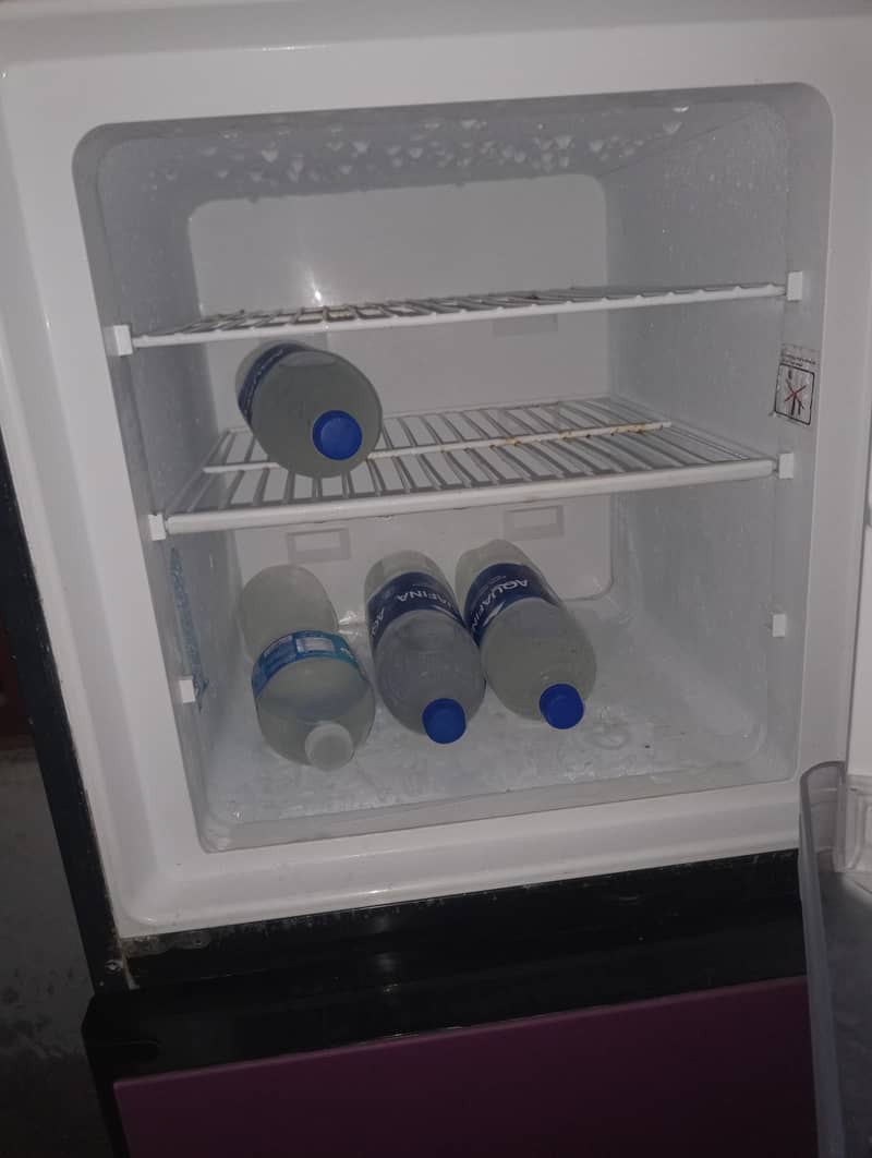 fridge 1