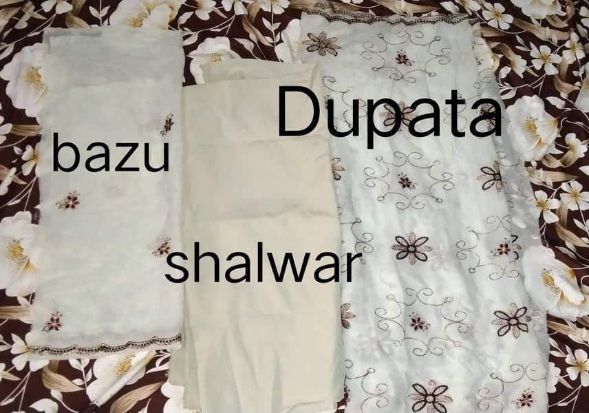 Chiffon Dresses 2