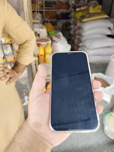 Apple iPhone 12 Pro Max