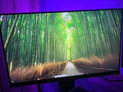 HP 23 inch borderless lcd