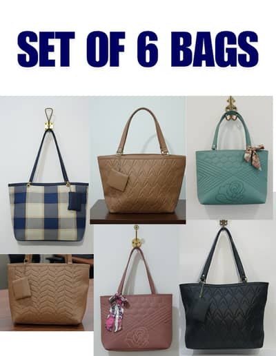 large, spacious, daily use tote bags for university and office use