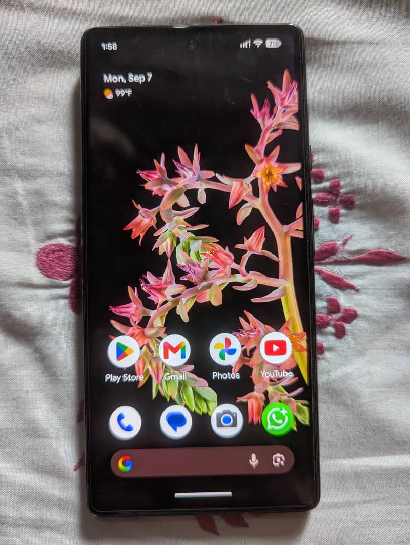 Google Pixel 6 3
