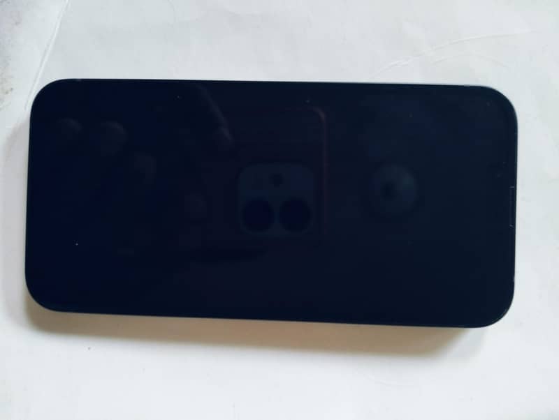 Apple iPhone 13 0