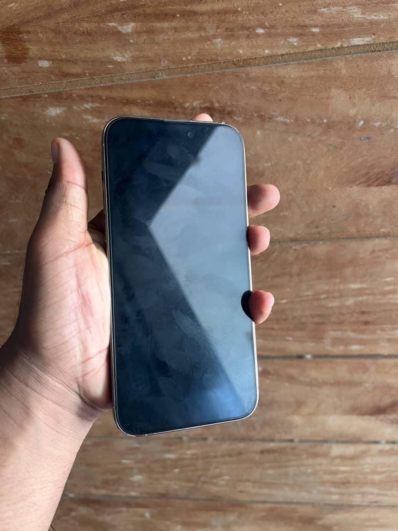 Apple iPhone 14 Pro Max 1