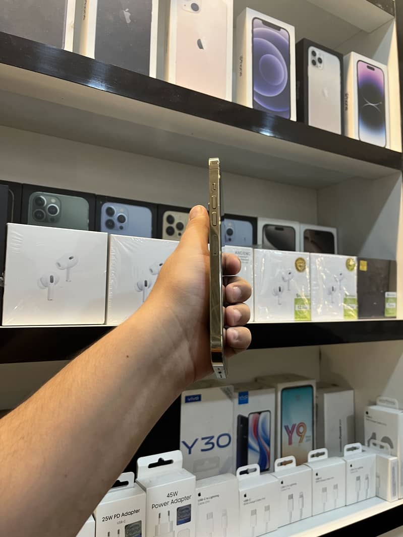 Apple iPhone 13 Pro Max 1