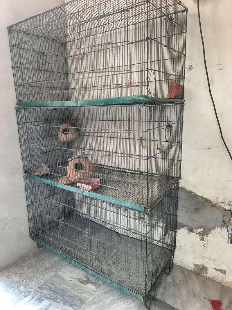 3 Portion Cage with 2 Matki — photo 2