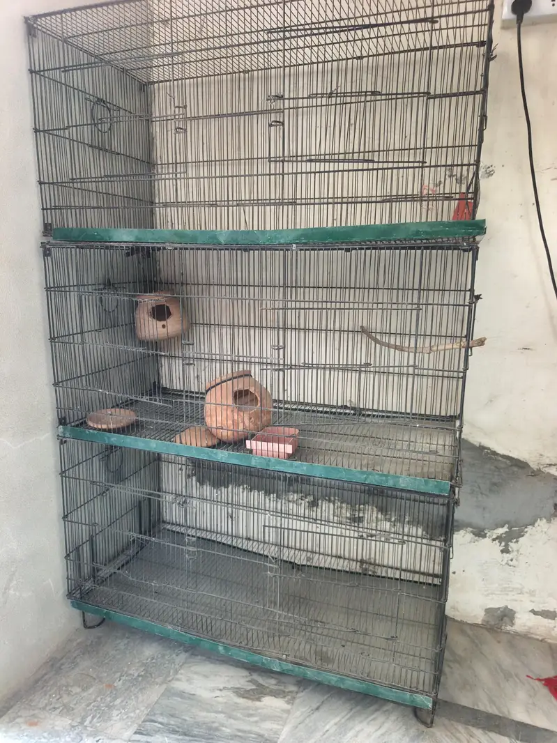 3 Portion Cage with 2 Matki — photo 3