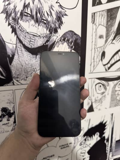 Apple iPhone 12 Pro Max