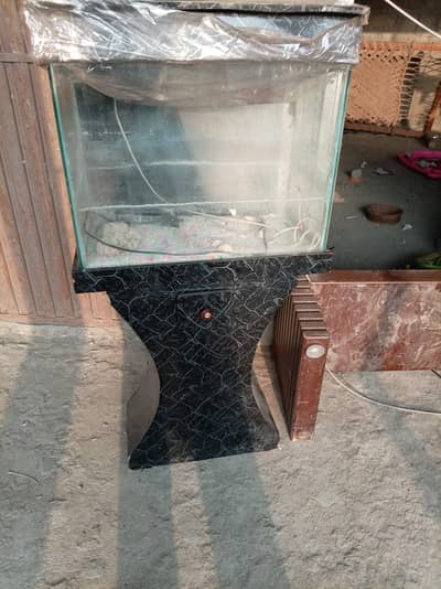 aquarium