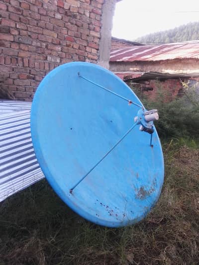 dish enteena