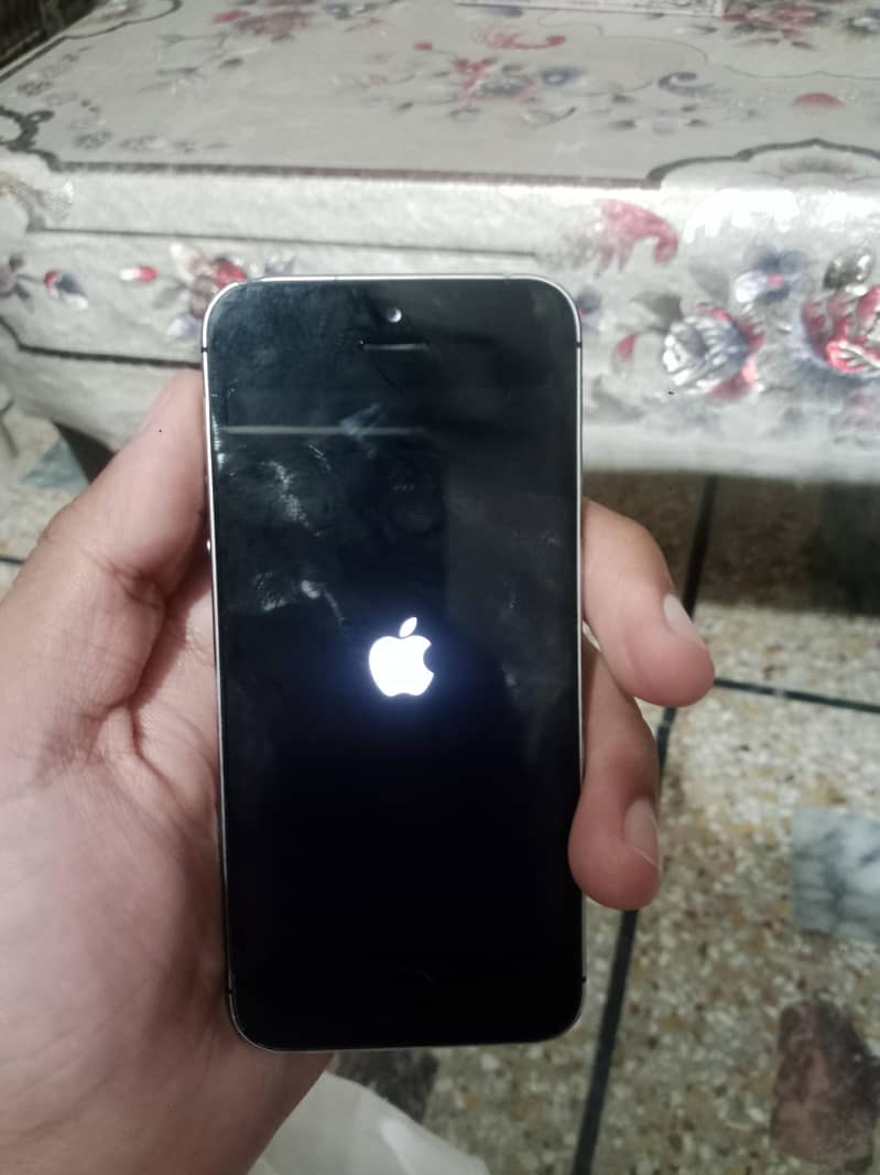 Apple iPhone 5s 2