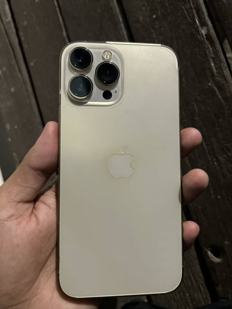 Apple iPhone 13 Pro Max 3
