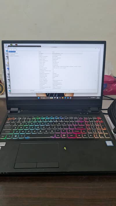 i7-9750H / RTX 2070 8 GB / 240Hz Display