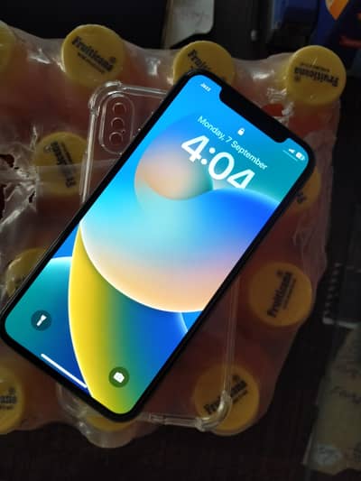 Apple iPhone X