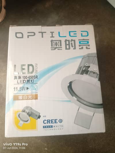 Down Light