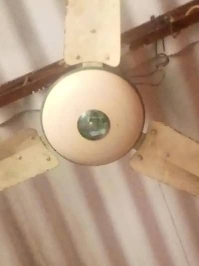 Ceiling fan