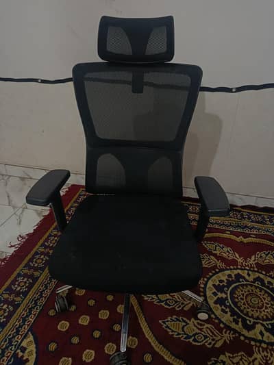 Ergonomic Executive Office Chair with Head Rest - Lahore