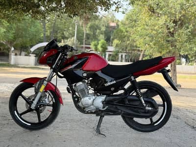 YAMAHA YBR 03313939676