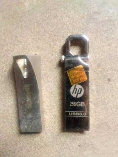 256gb or 32gb USB flash drive