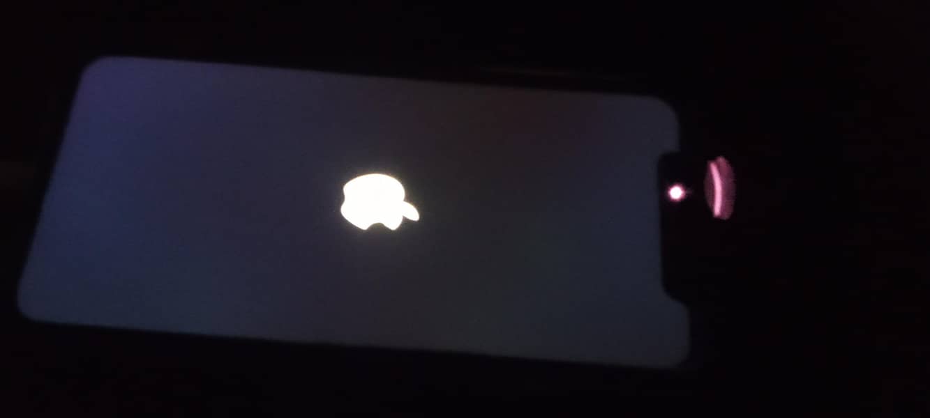 Apple iPhone 11 2