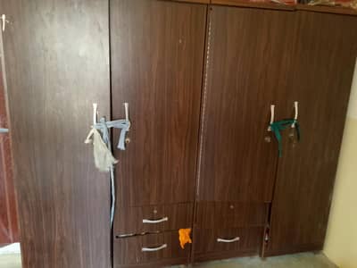 4 doors alamari
