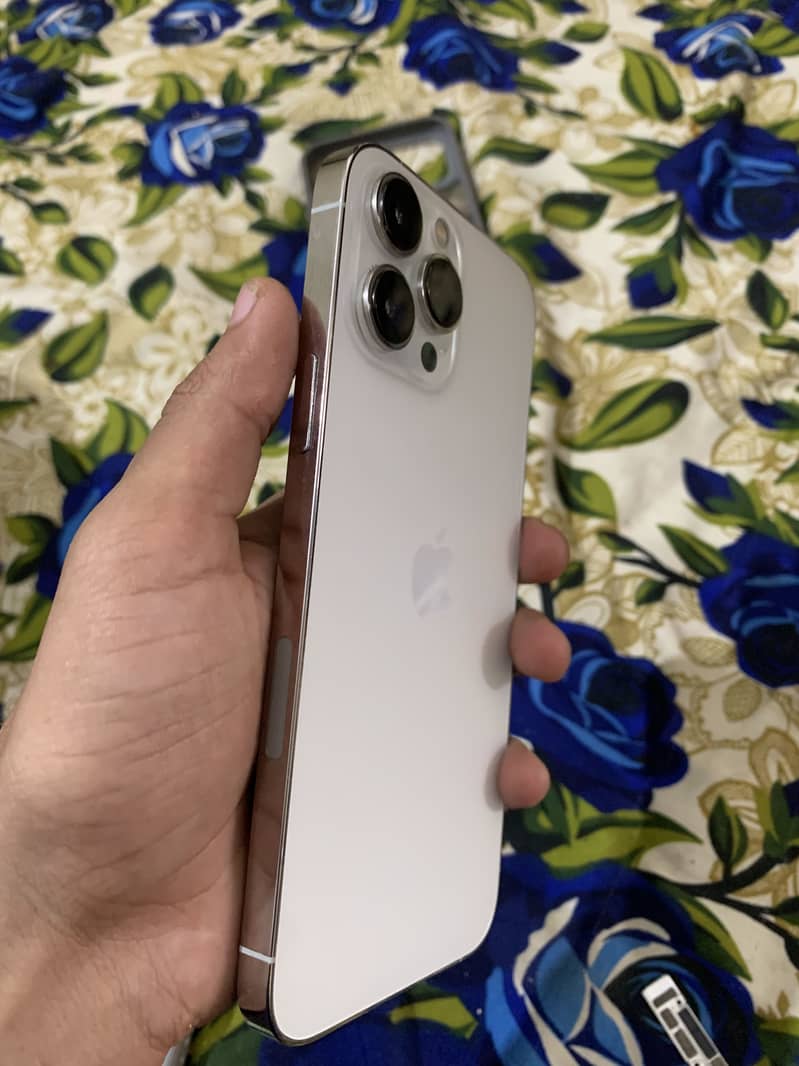 Apple iPhone 13 Pro Max 1
