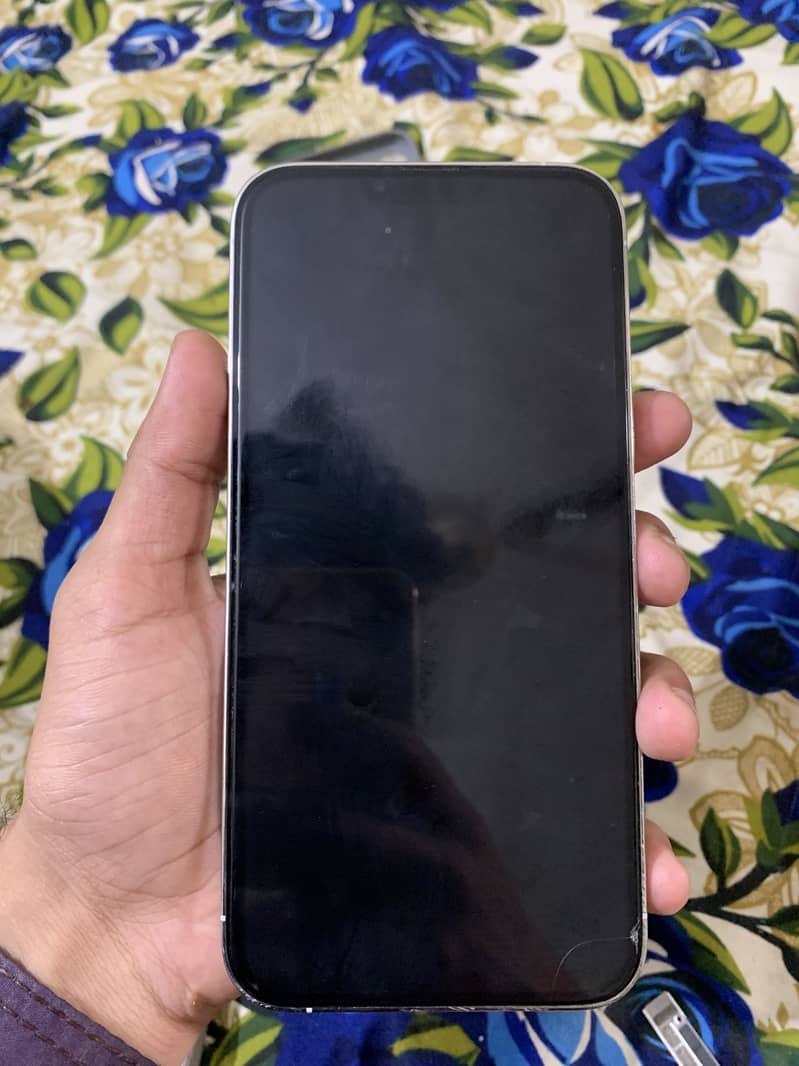 Apple iPhone 13 Pro Max 2