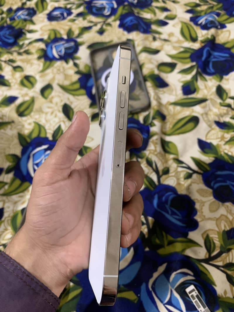 Apple iPhone 13 Pro Max 3