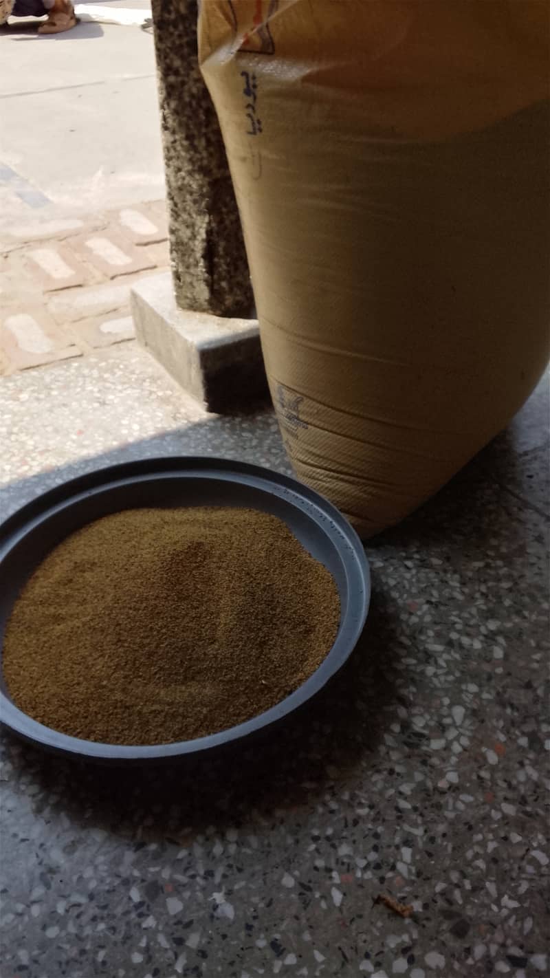 فارسی برسیم کے بیج — سبز چارے کے لیے اعلیٰ معیار کا بیج  شٹالہ (Shatal 0