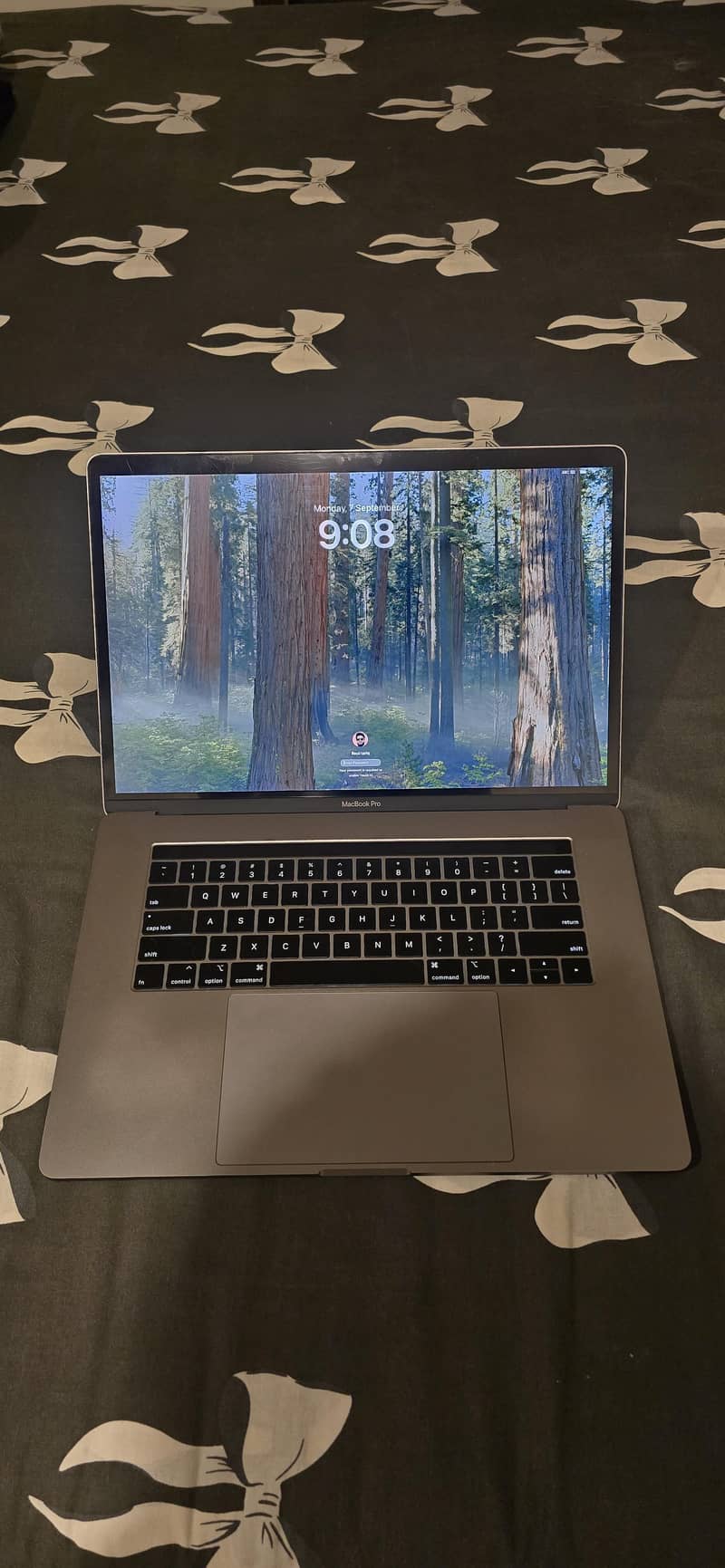 Macbook pro 2019 0