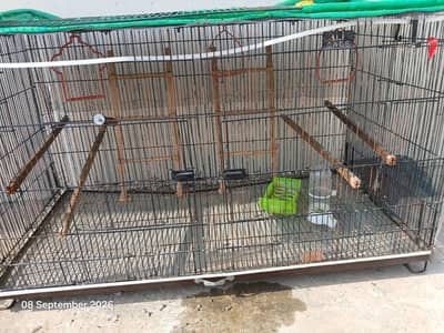 ali Cages for Birds
