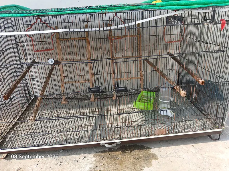 ali Cages for Birds