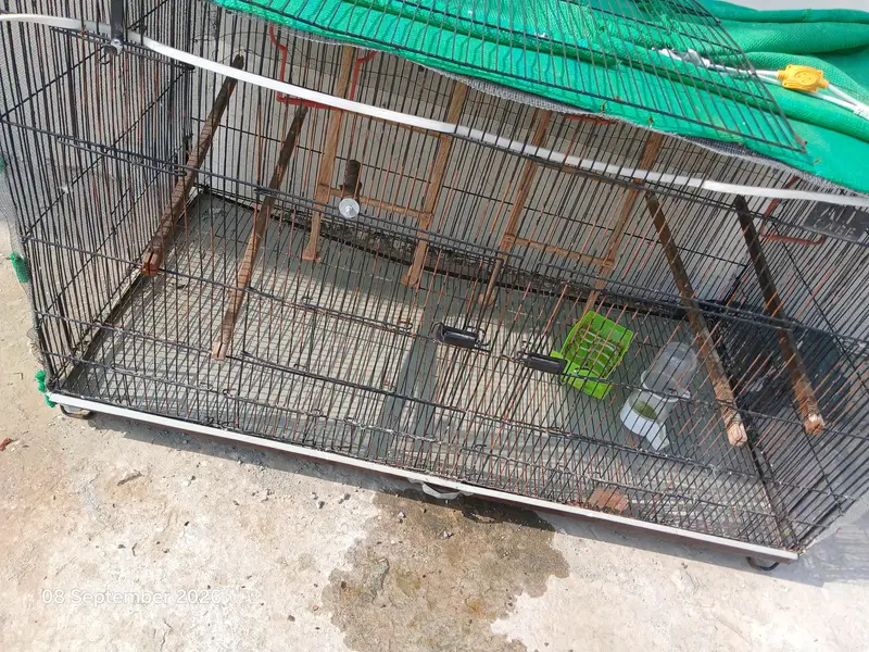 ali Cages for Birds — photo 2