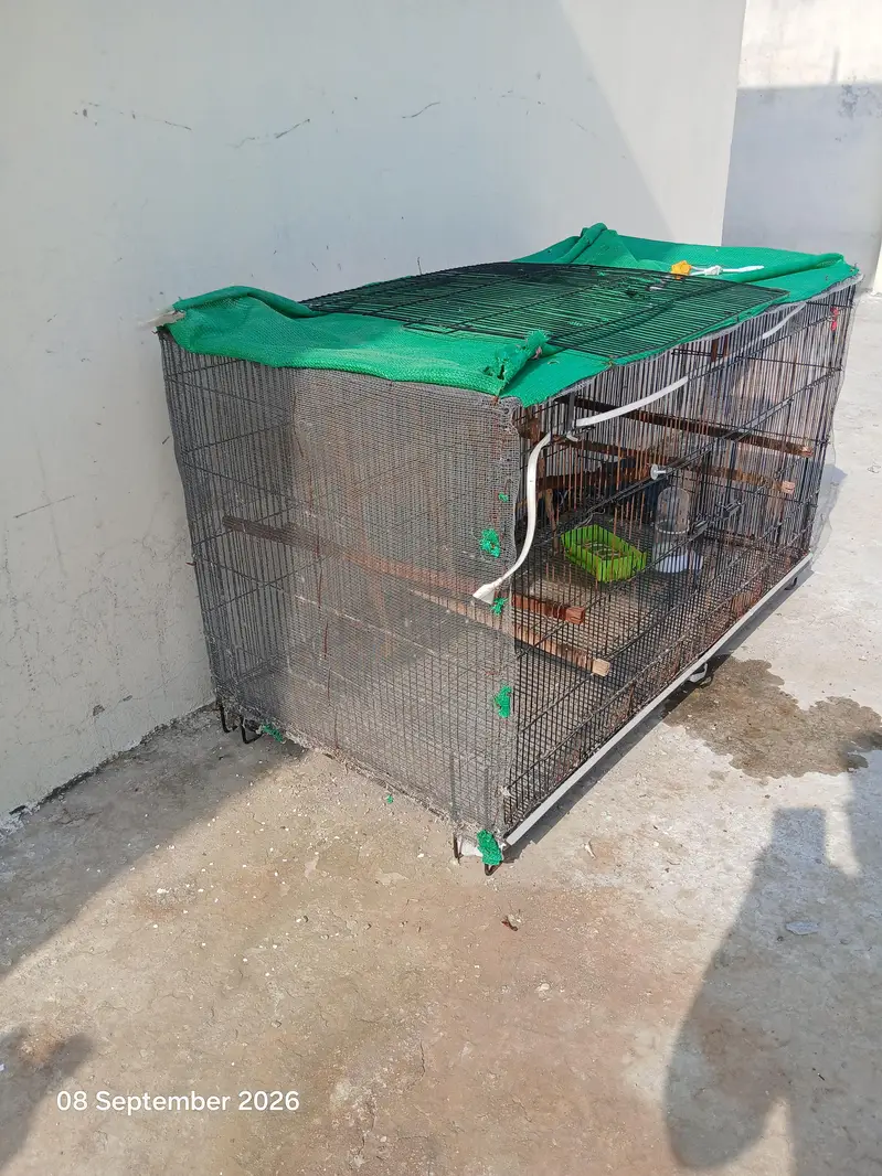 ali Cages for Birds — photo 3