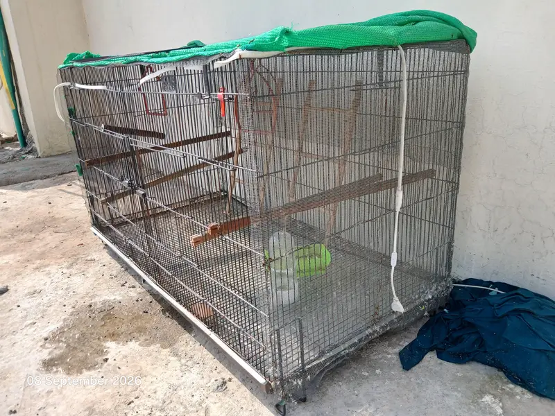 ali Cages for Birds — photo 4