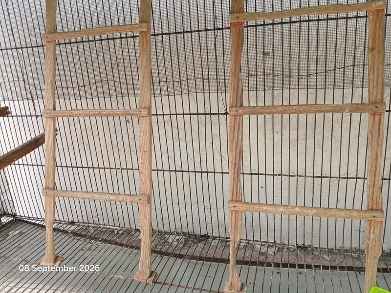ali Cages for Birds — photo 5