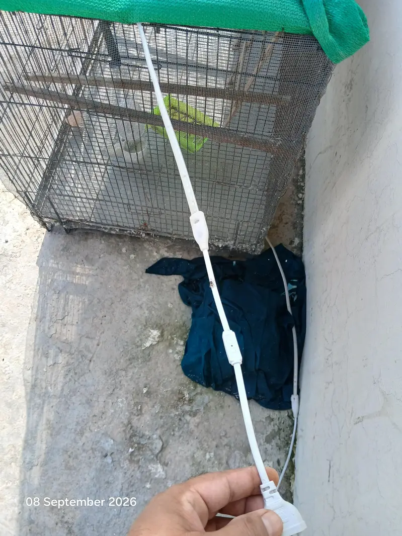 ali Cages for Birds — photo 6